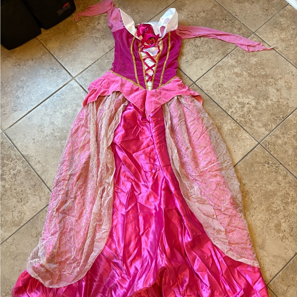 Sleeping Beauty Costume